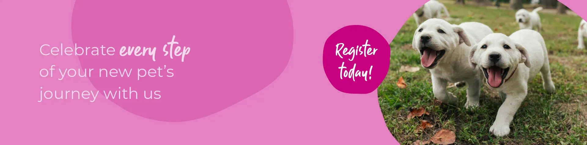 Start of Life for Your Puppy or Kitten