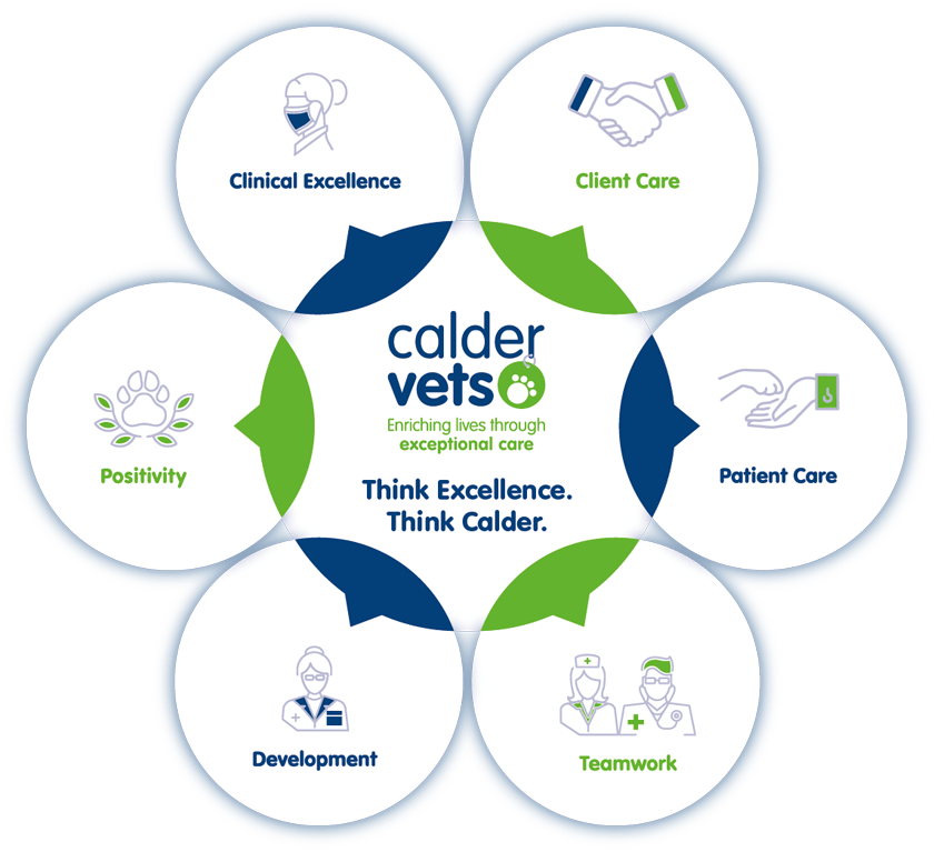 calder vets values