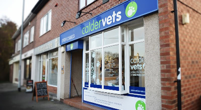 Sandal Vets