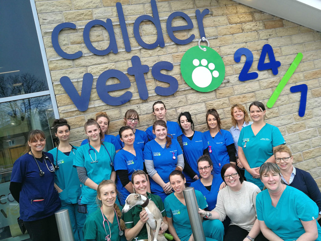 Calder team at Dewsbury