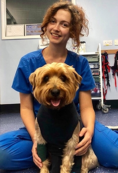 aimal-care-assistant-calder-vets