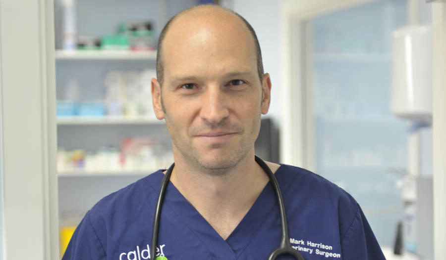 Calder vet to run marathon for charity