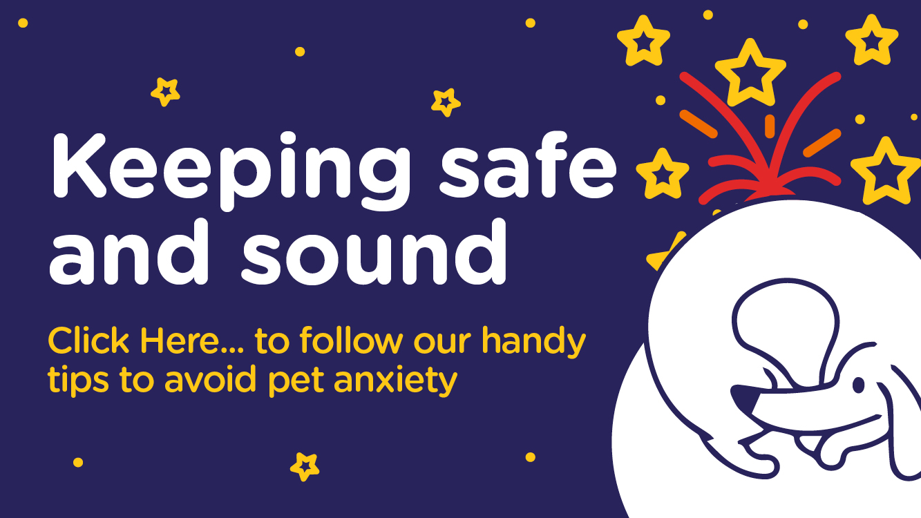 Seven tips for keeping your pet safe around the firework season