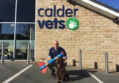 Ensure pets don’t lose sparkle amid firework fears
