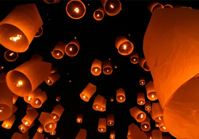 Vets warn of the dangers of Chinese lanterns to animals