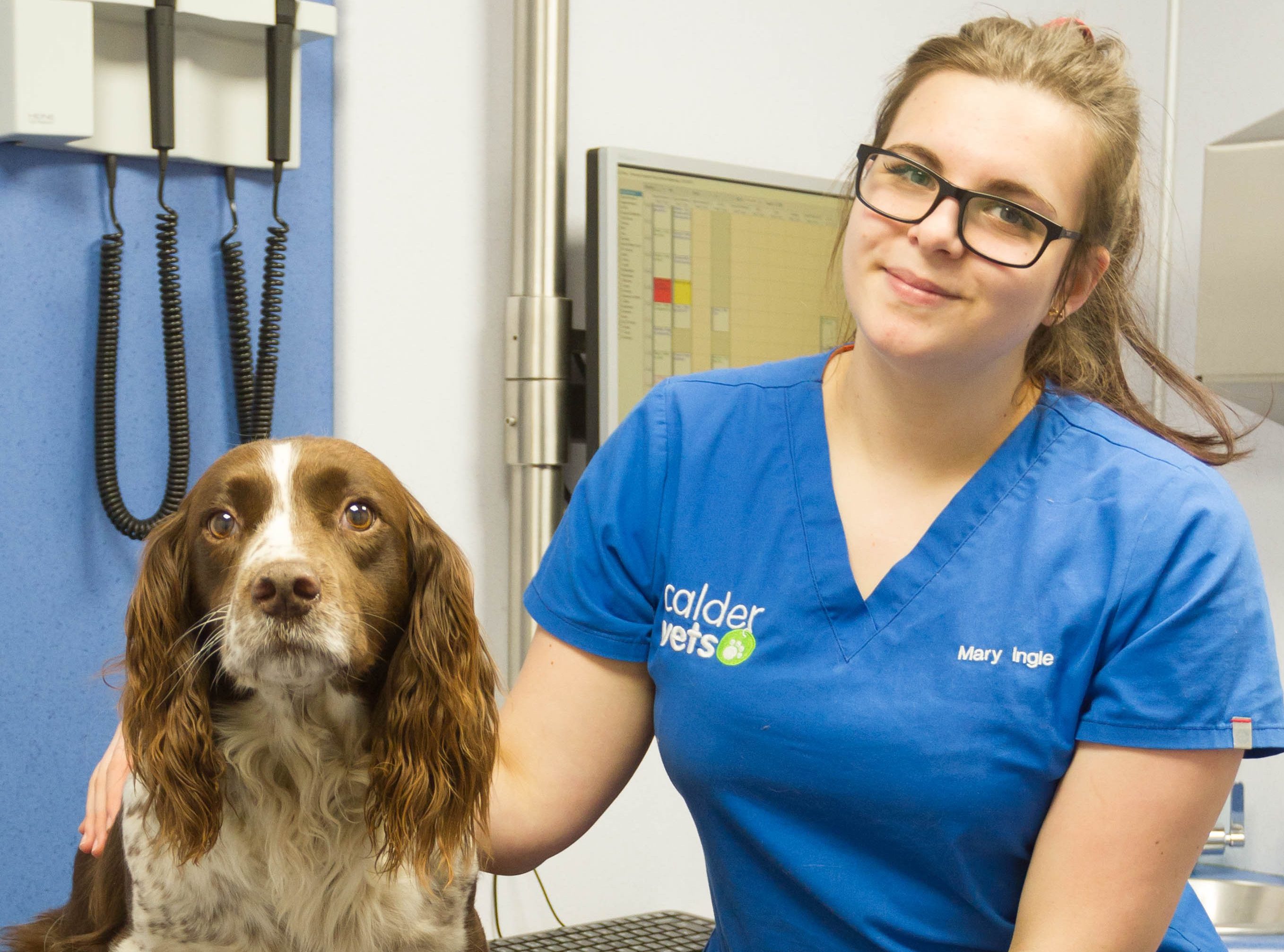 Keep winter cold remedies out of reach for pets, warn vets