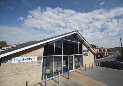 Physiotherapy at Calder Vets