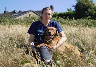 Protect pets from the heat as heatwave continues