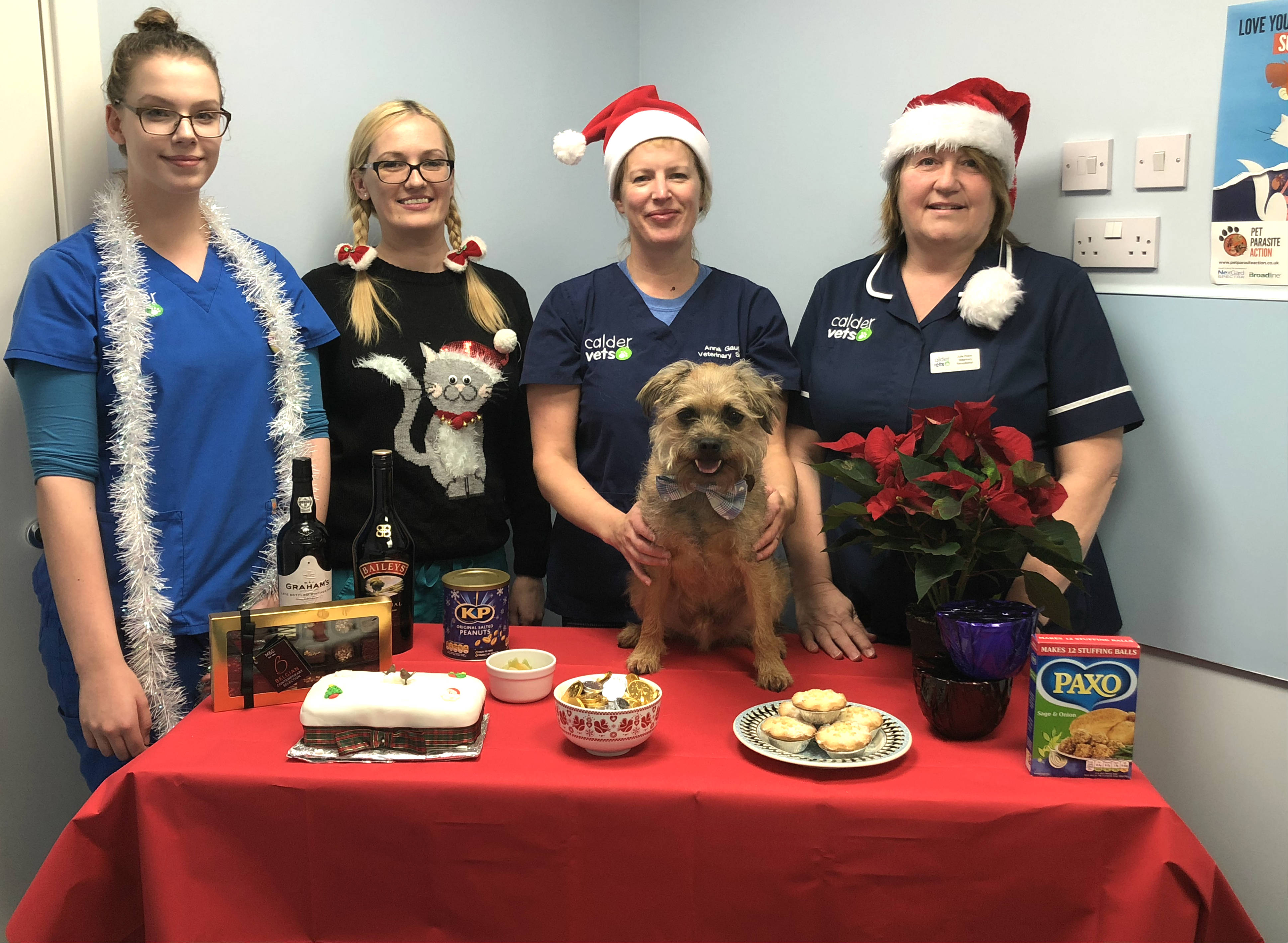 Paws for thought and protect pets at Christmas