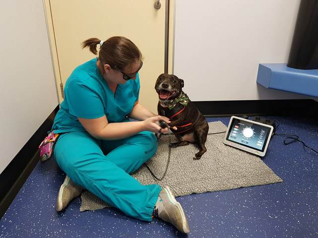 Launching Laser Therapy