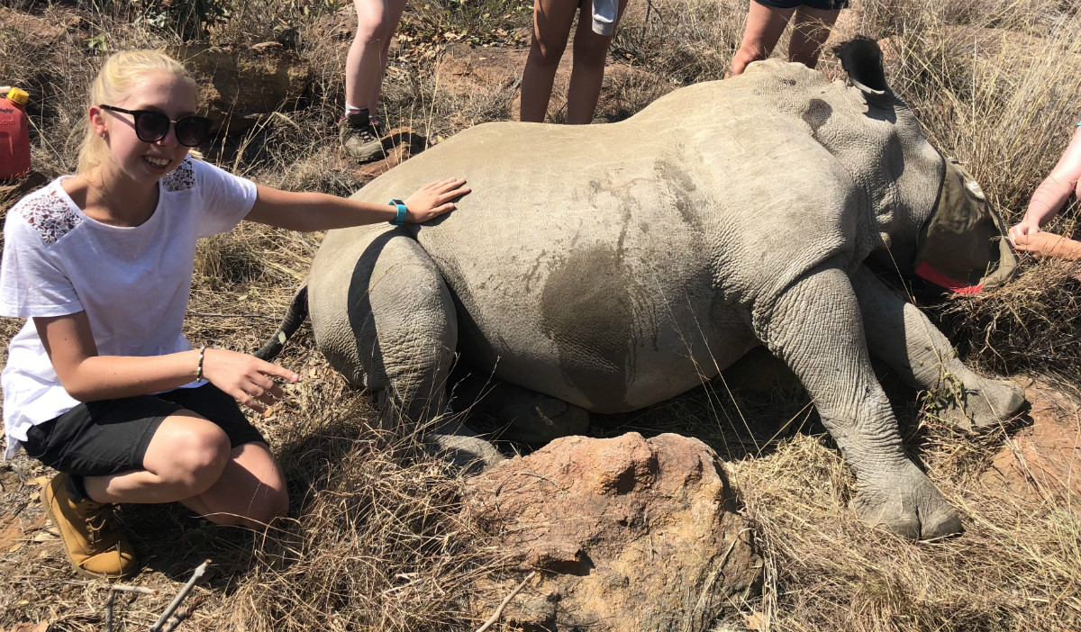 Vet nurse Alicia's life-changing experience in Africa