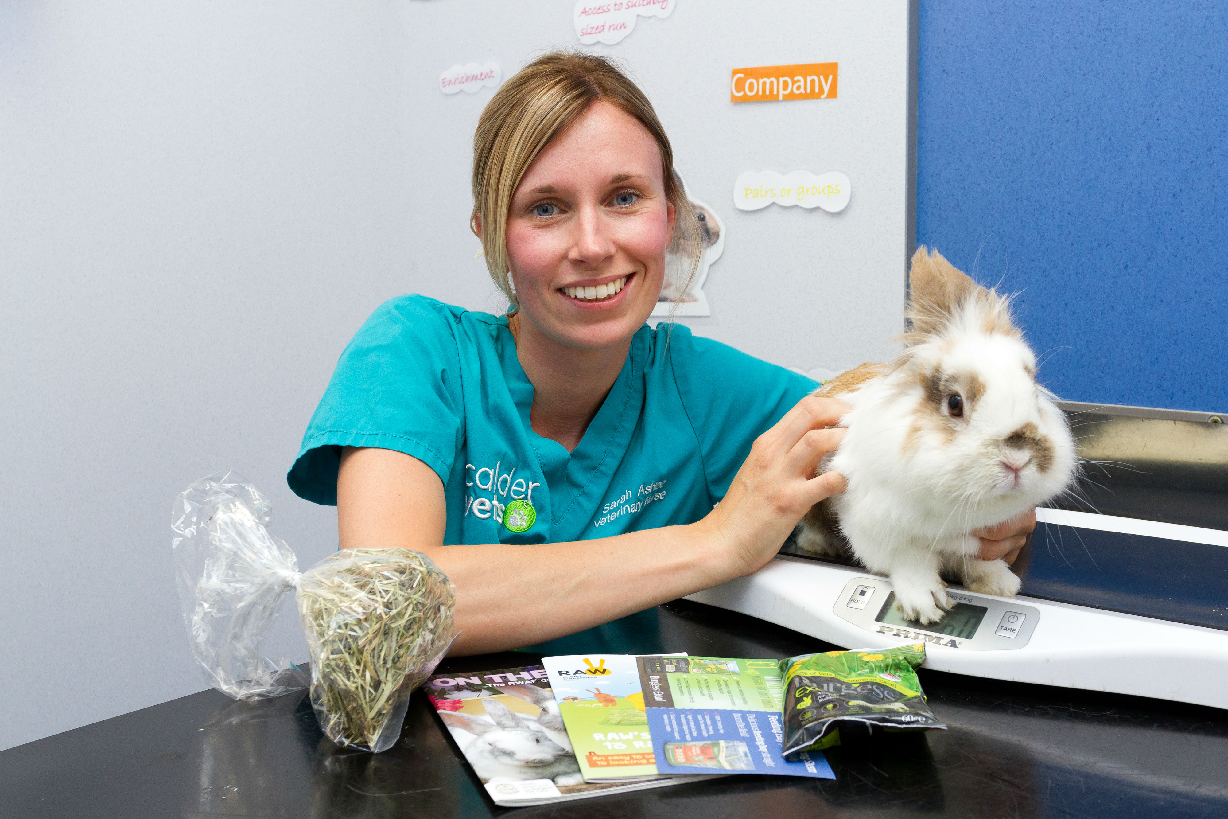 Calder Vets issues warning about deadly rabbit disease