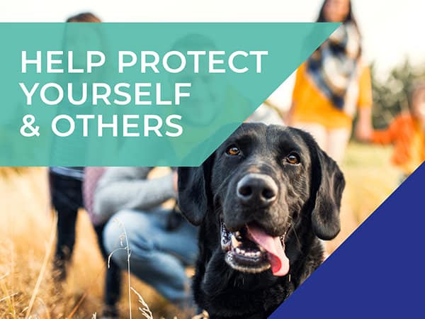 Calder Vets COVID-19 (coronavirus) update