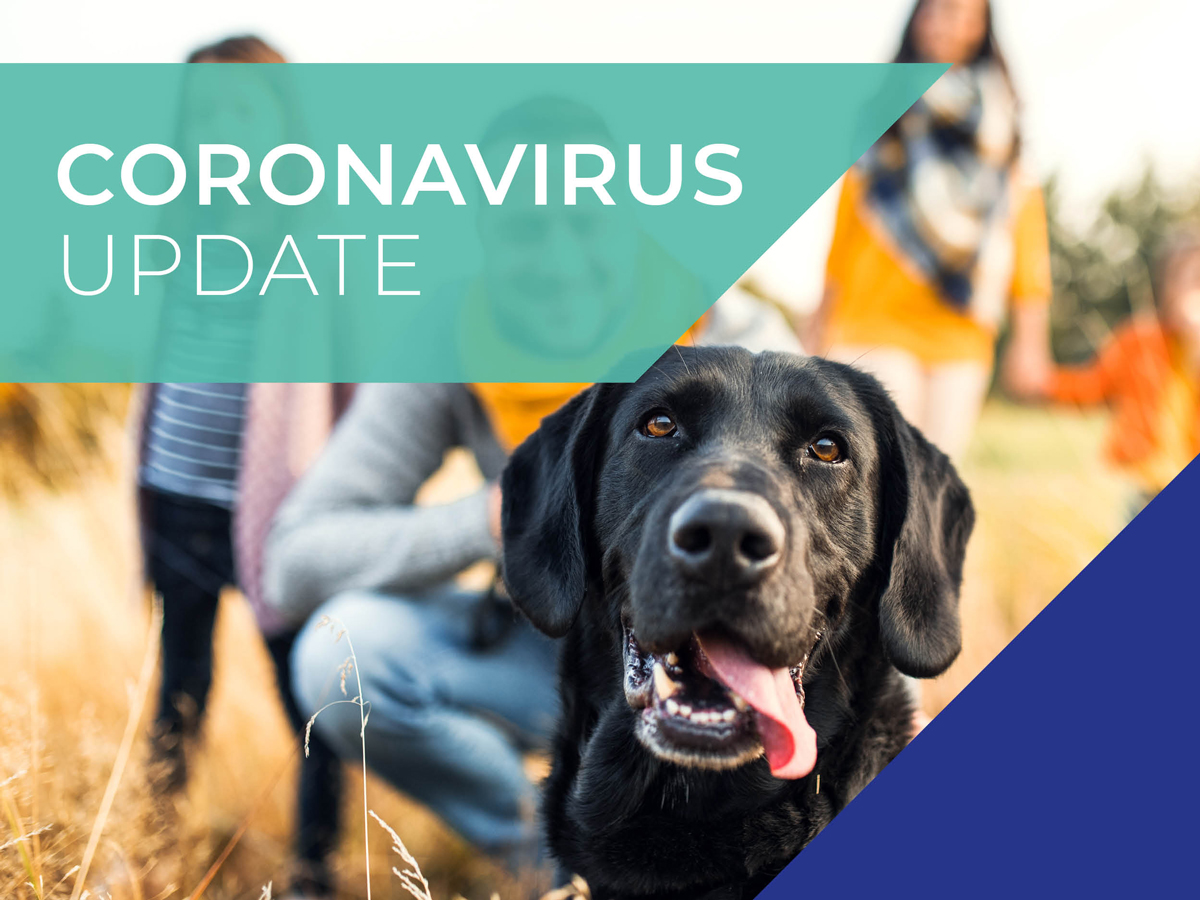 Calder Vets COVID-19 (coronavirus) 1st April update