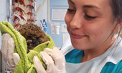 Kirsty White - Registered Veterinary Nurse