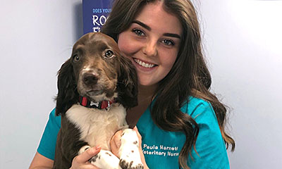 Paula Harnett - Registered Veterinary Nurse