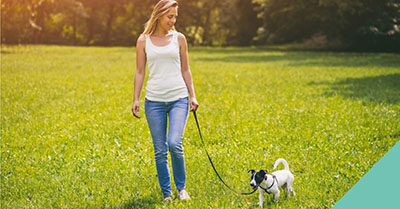 How to teach your dog to walk on a lead