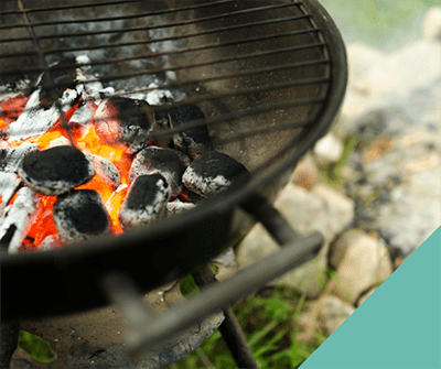 Barbecues and your pets – things to consider
