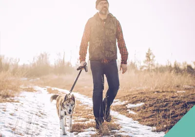 January is National Walk Your Dog Month