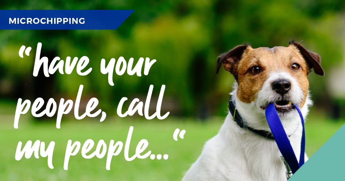 Calder vets in Dewsbury talk about the importance of microchipping your pet