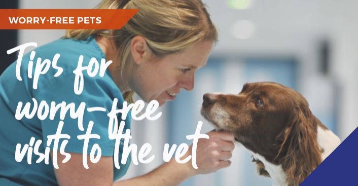 Tips for worry-free visits to the vets