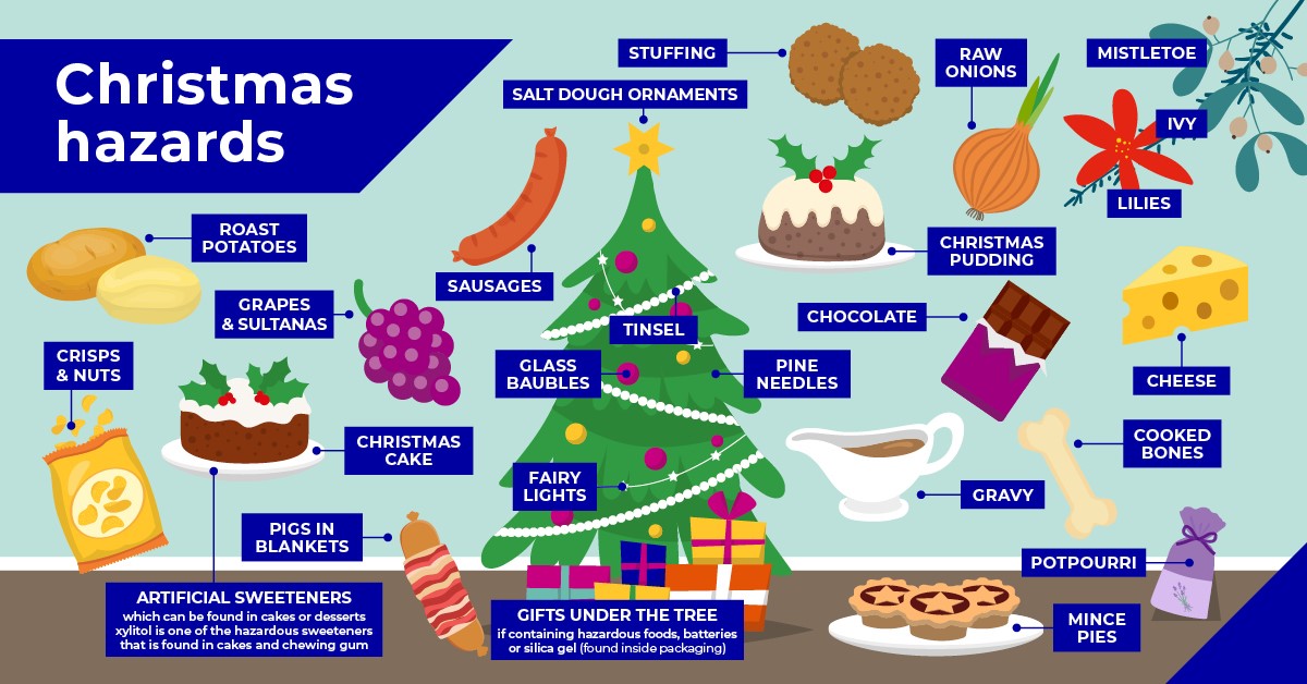 Christmas Hazards in West Yorkshire