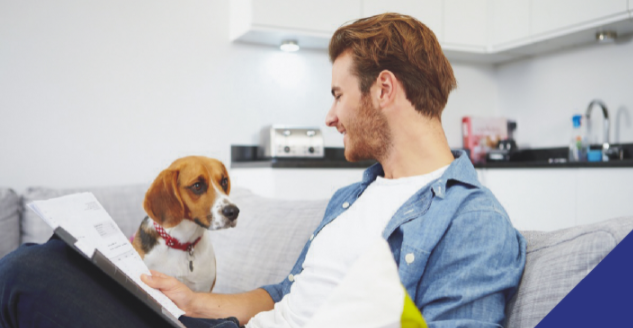 Importance of Pet Insurance