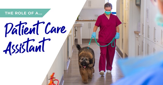 The role of a patient care assistant in West Yorkshire