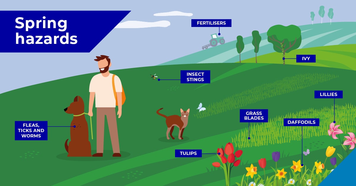 Spring hazards in West Yorkshire