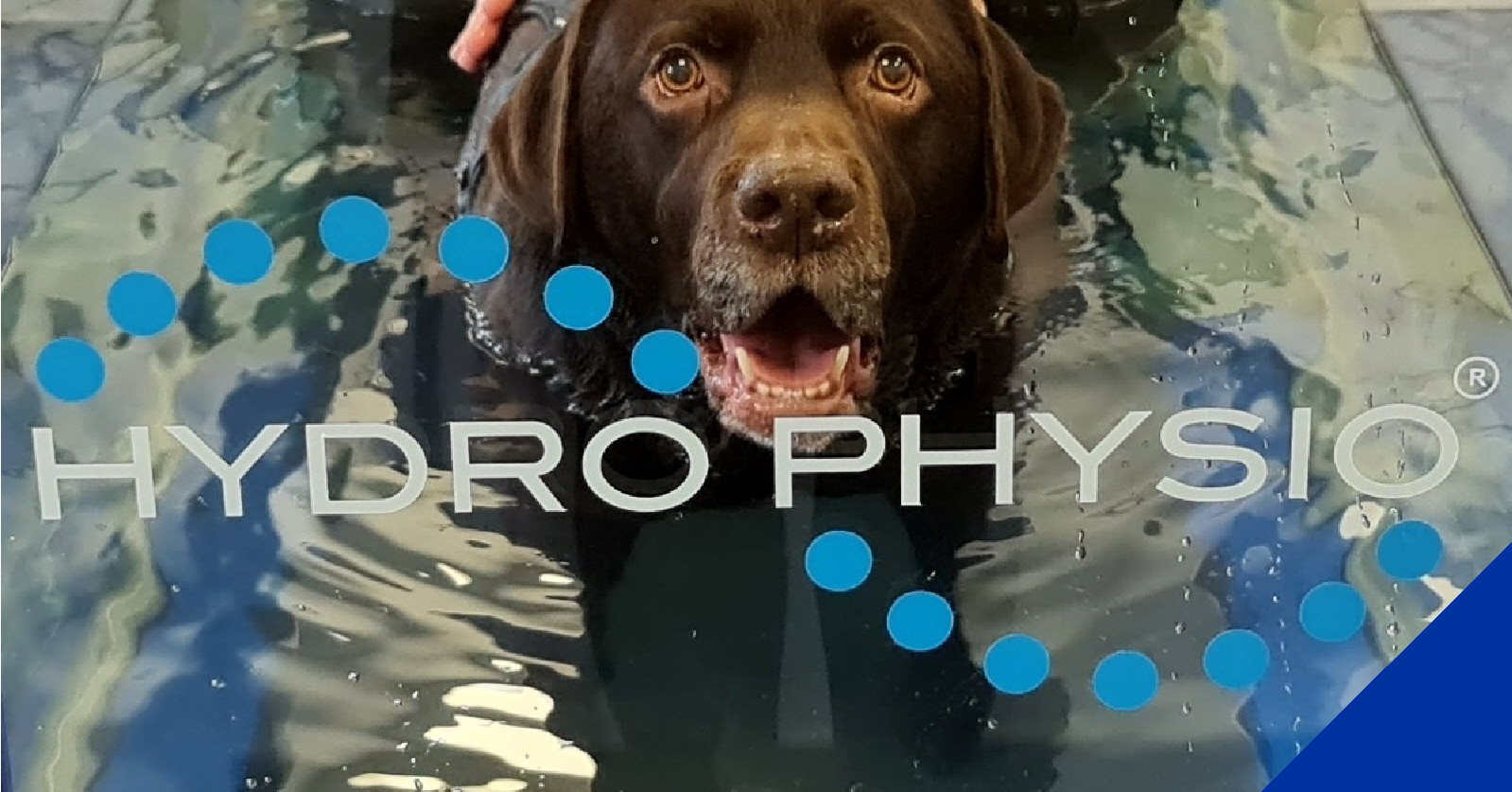 Introducing our Rehabilitation Centre