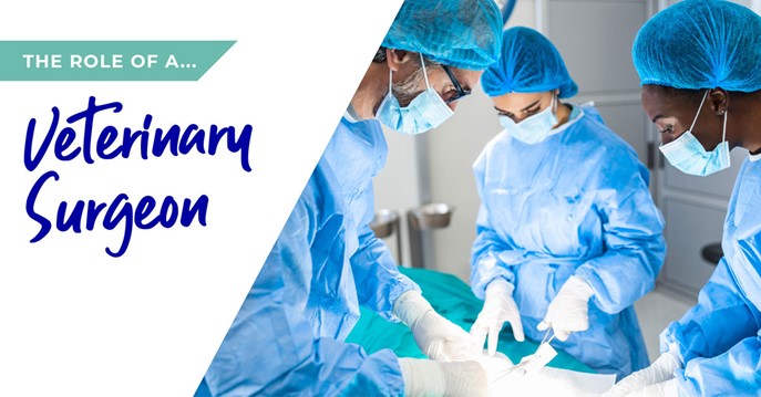 The role of a veterinary surgeon in West Yorkshire
