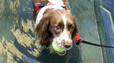 hydrotherapy