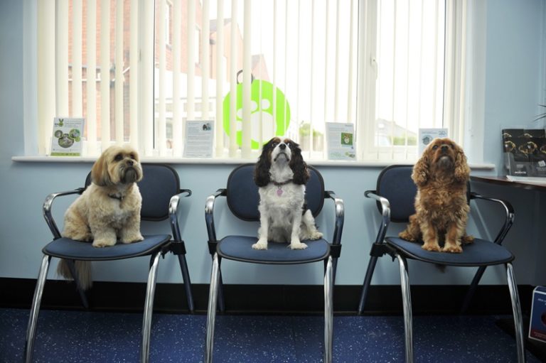 Lockwood, Huddersfield new address Calder Vets