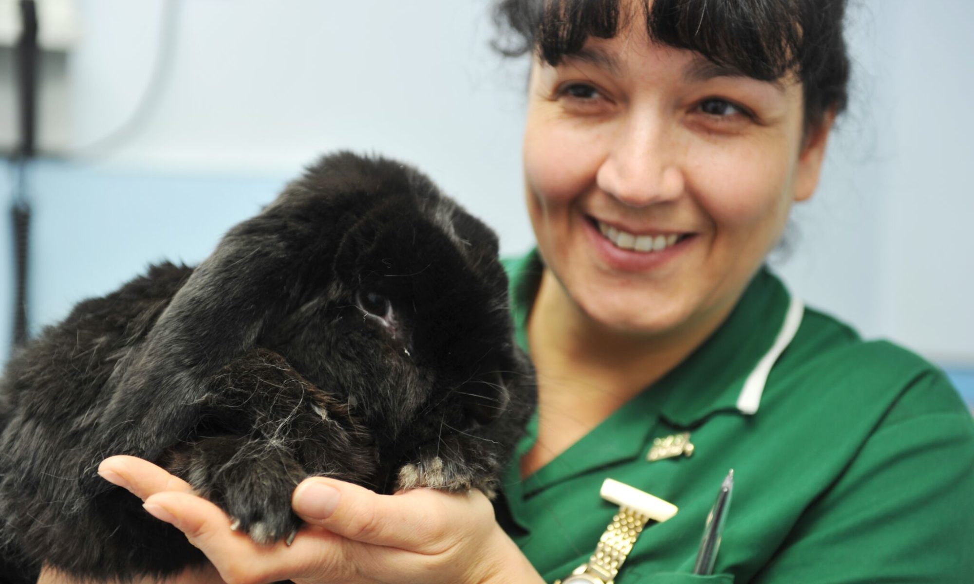 Calder Vets Rabbit Awareness Week 2016