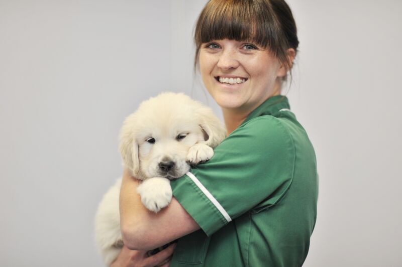 Calder Vets launches Pet Health Club