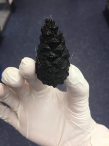 The pine cone swallowed by Moscow