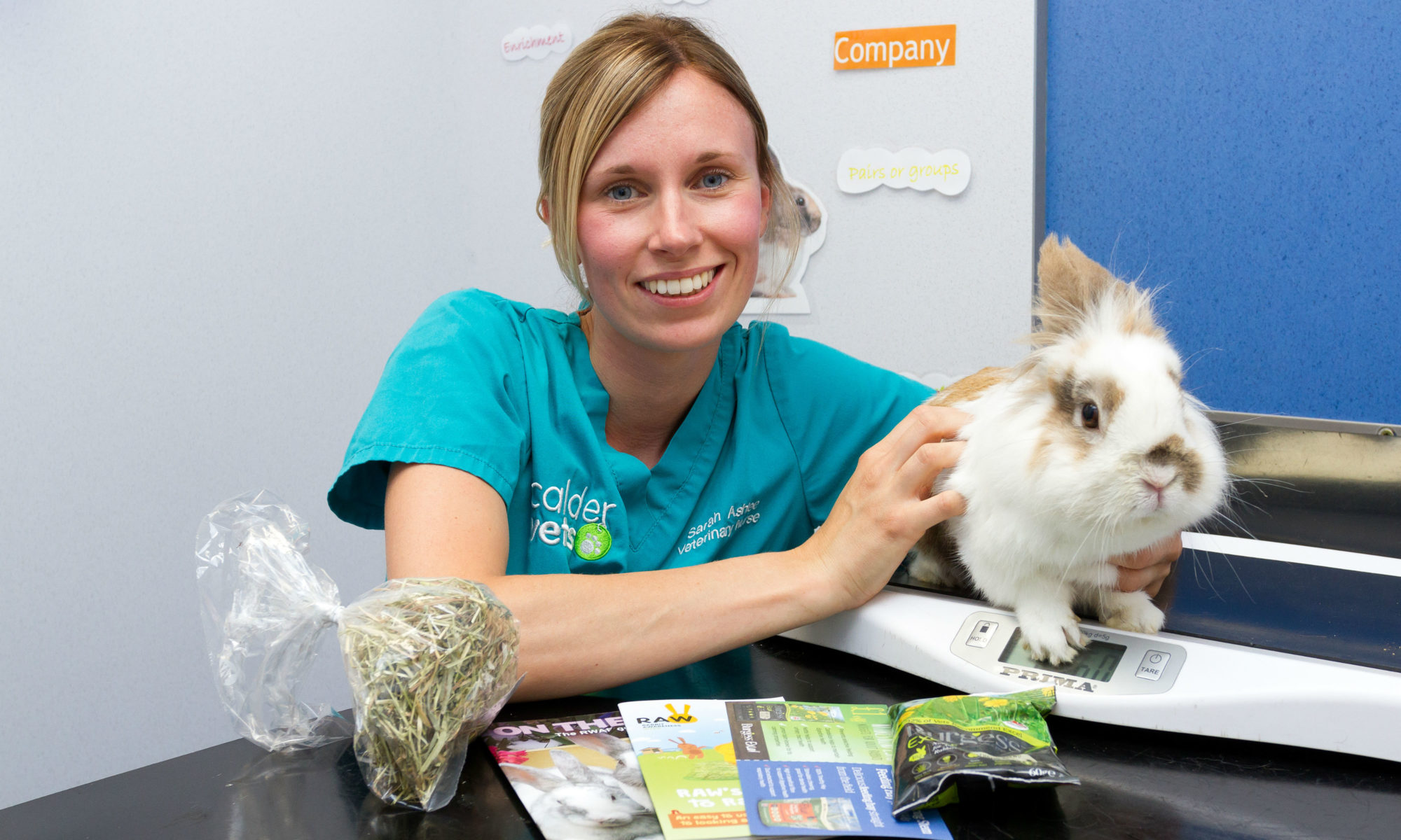 Rabbit Awareness Week