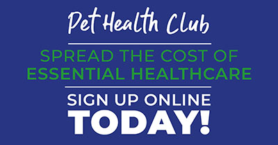 Five benefits of joining our Pet Health Club