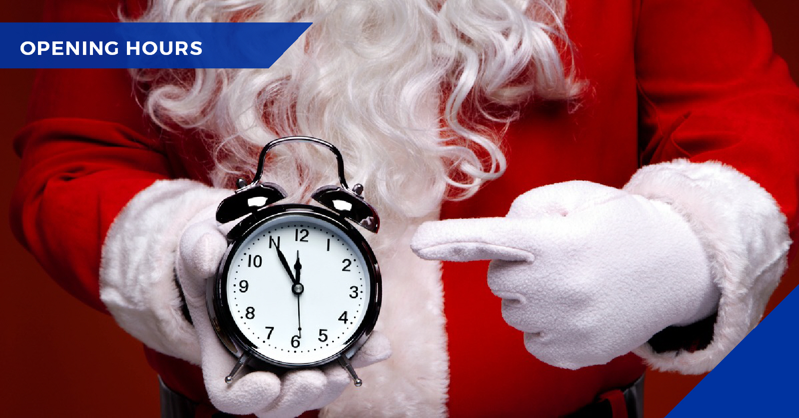 Vets In West Yorkshire Calder Vets West Yorkshire