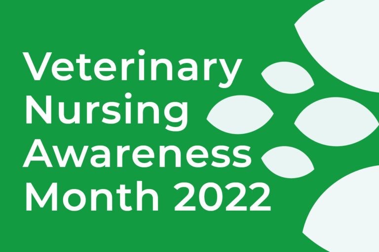 Veterinary Nursing Awareness Month at Calder Vets